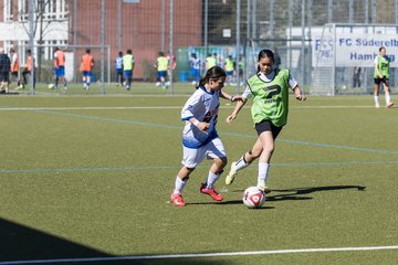 Bild 313 - wCJ Suederelbe - wBJ UH-Adler : Ergebnis: 7:1